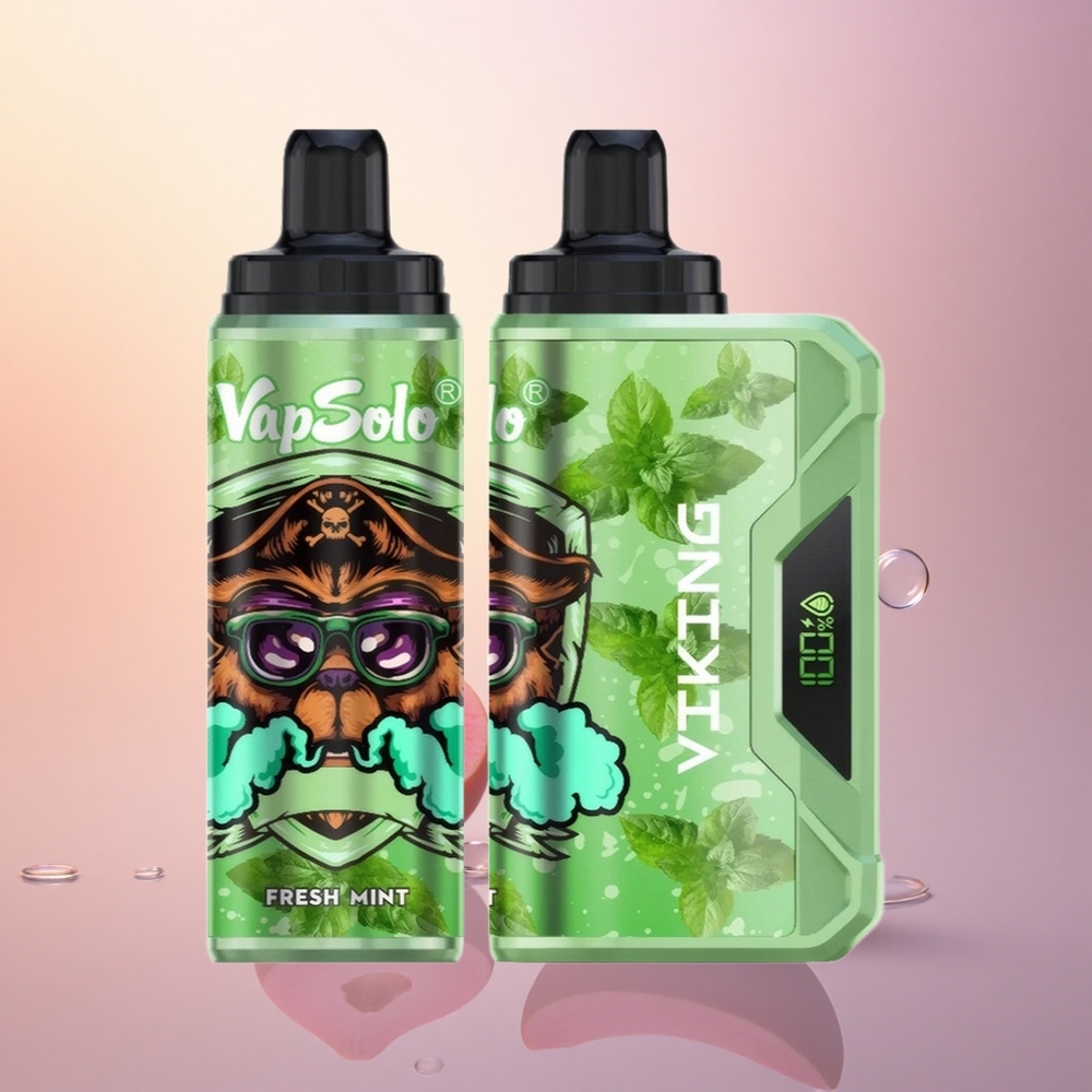 VapSolo VIKING 12000 Puffs Fresh Mint Type-C 22ml