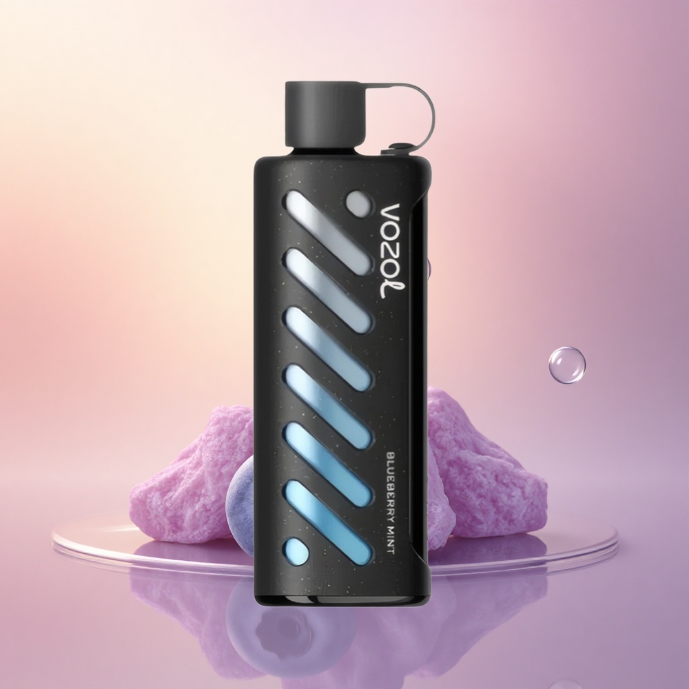 VOZOL Gear Shisha 25000 Puffs Blueberry Mint Dual Mesh