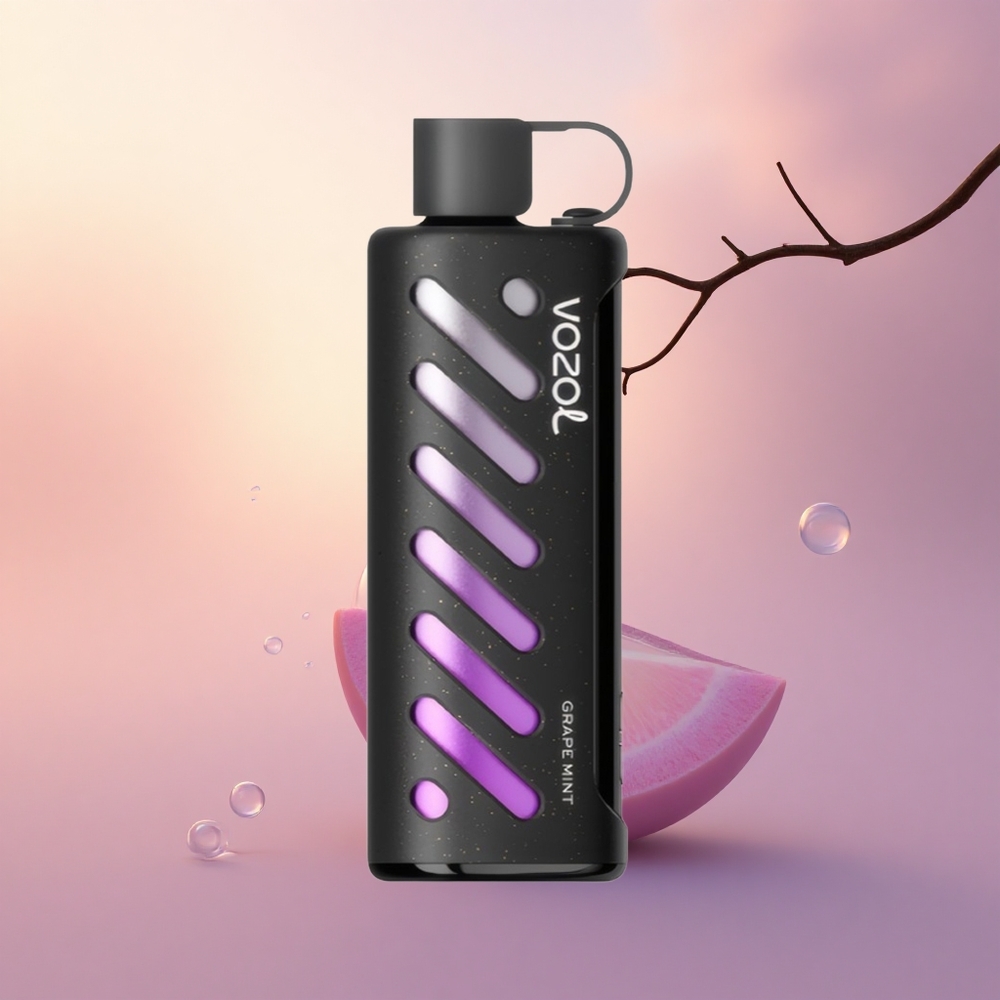 VOZOL Gear Shisha 25000 Puffs Grape Mint Dual Mesh 1000mAh