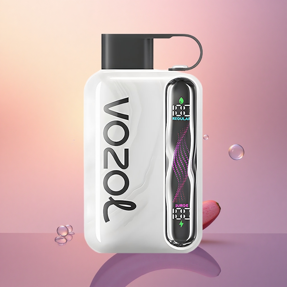 VOZOL STAR 40000 Puffs 1000mAh Type-C 20/50mg Disposable Vape