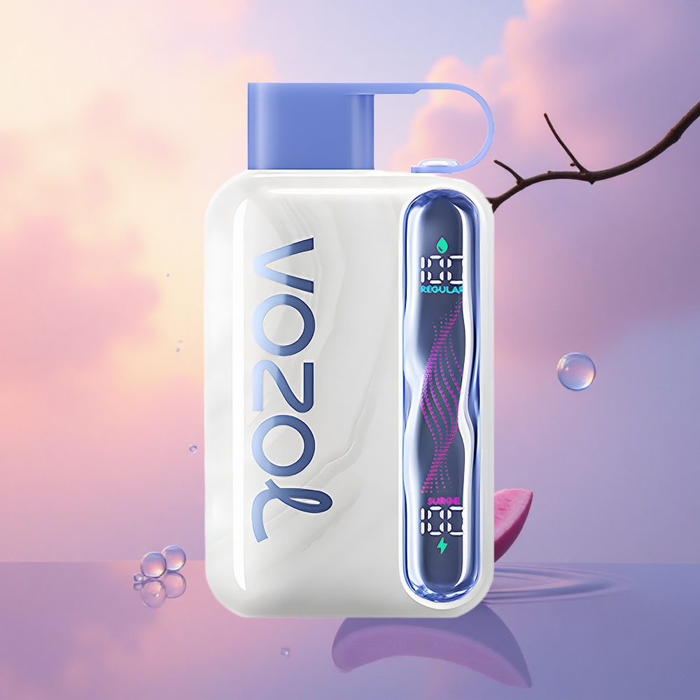 VOZOL STAR 40000 Puffs Blue Razz Ice 1000mAh 50mg Type-C