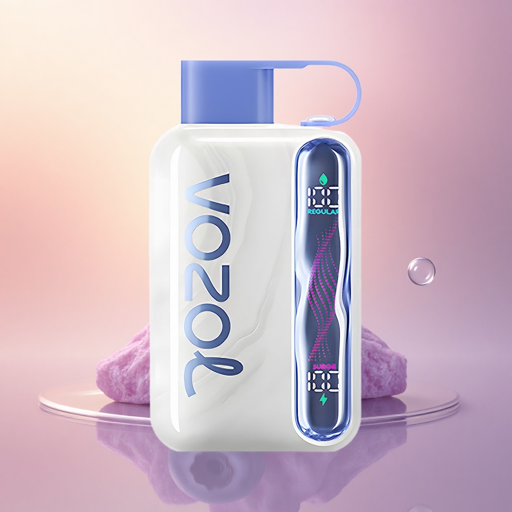 VOZOL STAR 40000 Puffs Blueberry Mint 1000mAh 20/50mg Type-C