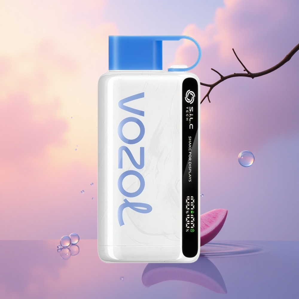 VOZOL STAR 9000/12000 Puffs Blue Razz Ice S.i.L.C Shake Charge
