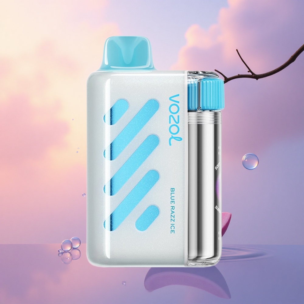VOZOL VISTA 40000 Puffs Blue Razz Ice Rechargeable Mesh 2%