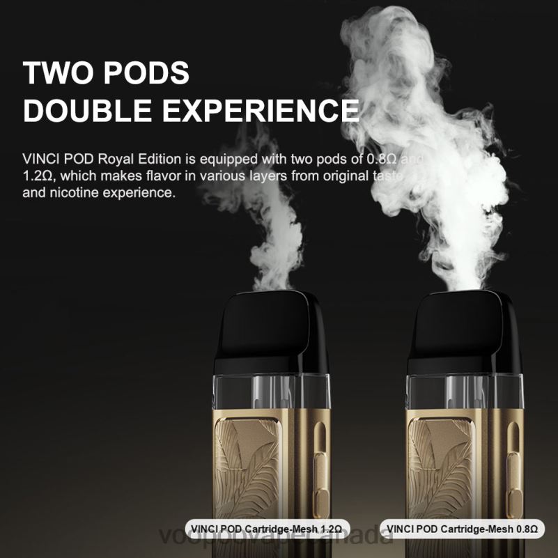 VOOPOO VINCI POD Royal Edition Gold Leaf 22FNH343 VOOPOO Vape Ottawa